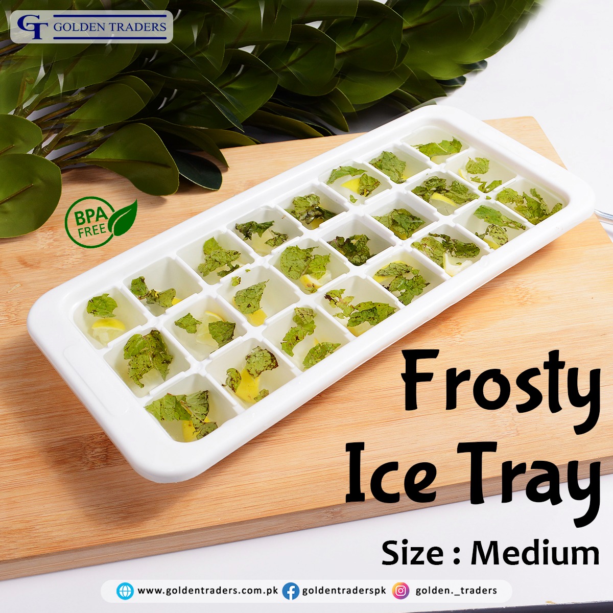 Frosty Ice Tray